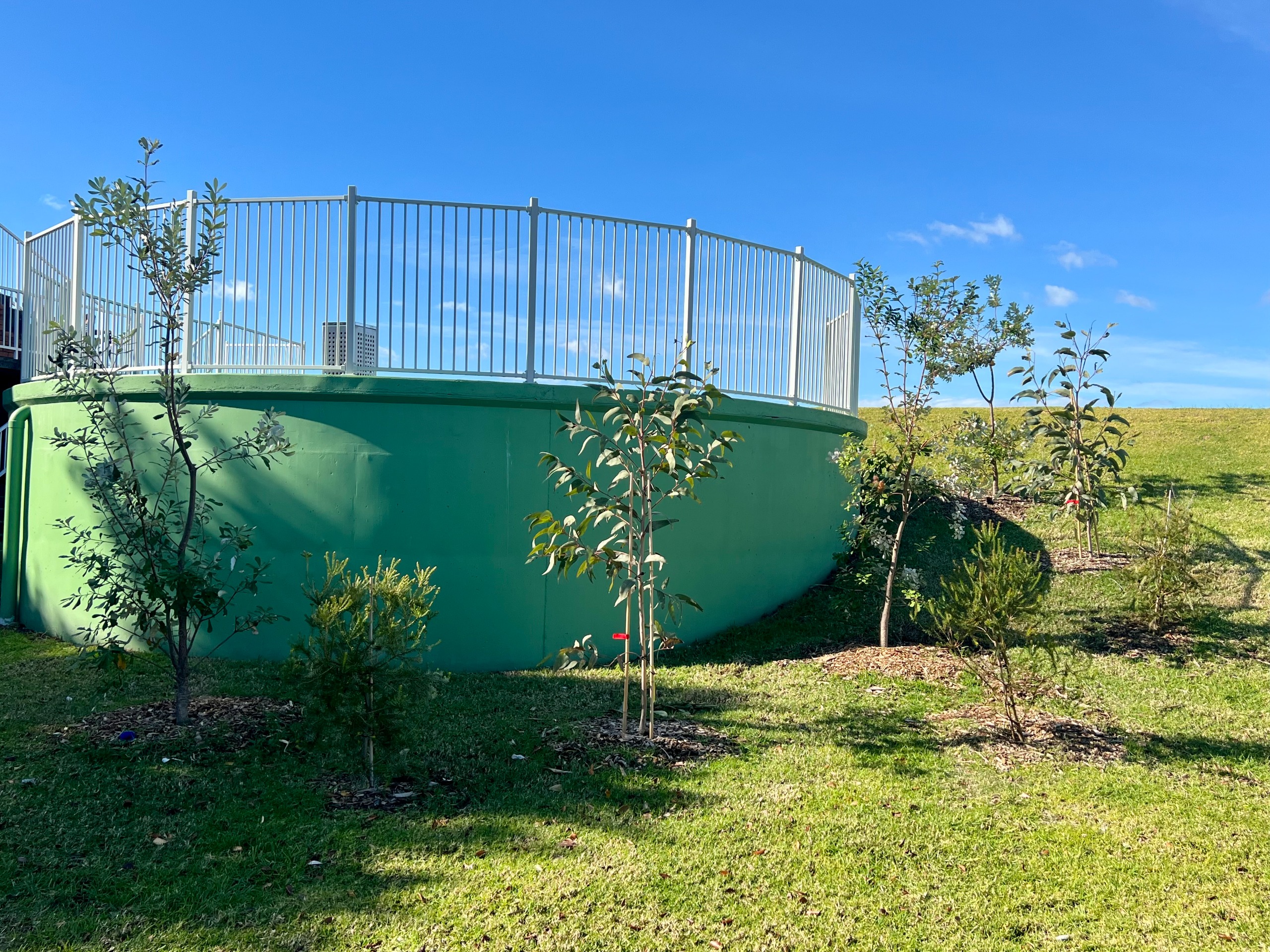 10 new plants alongside the Christison Park water tank