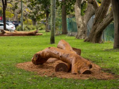 One of the new timber play elements at Kiaora Reserve 
