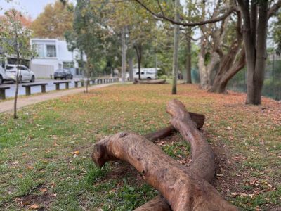 Kiaora Reserve play element 